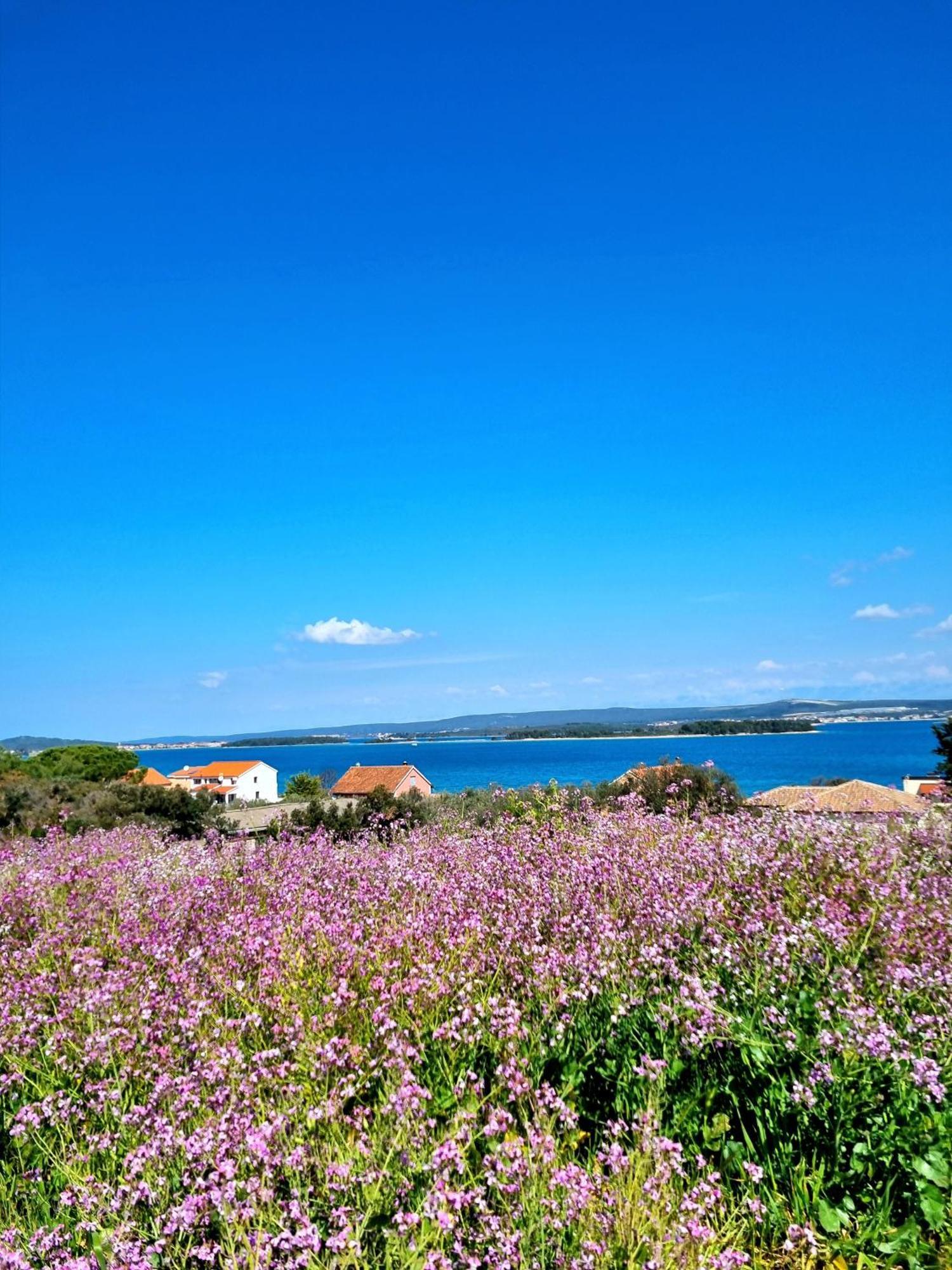Seaview Apartment Sveti Filip i Jakov Bagian luar foto
